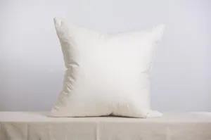 22 X 22 Occasional Pillow