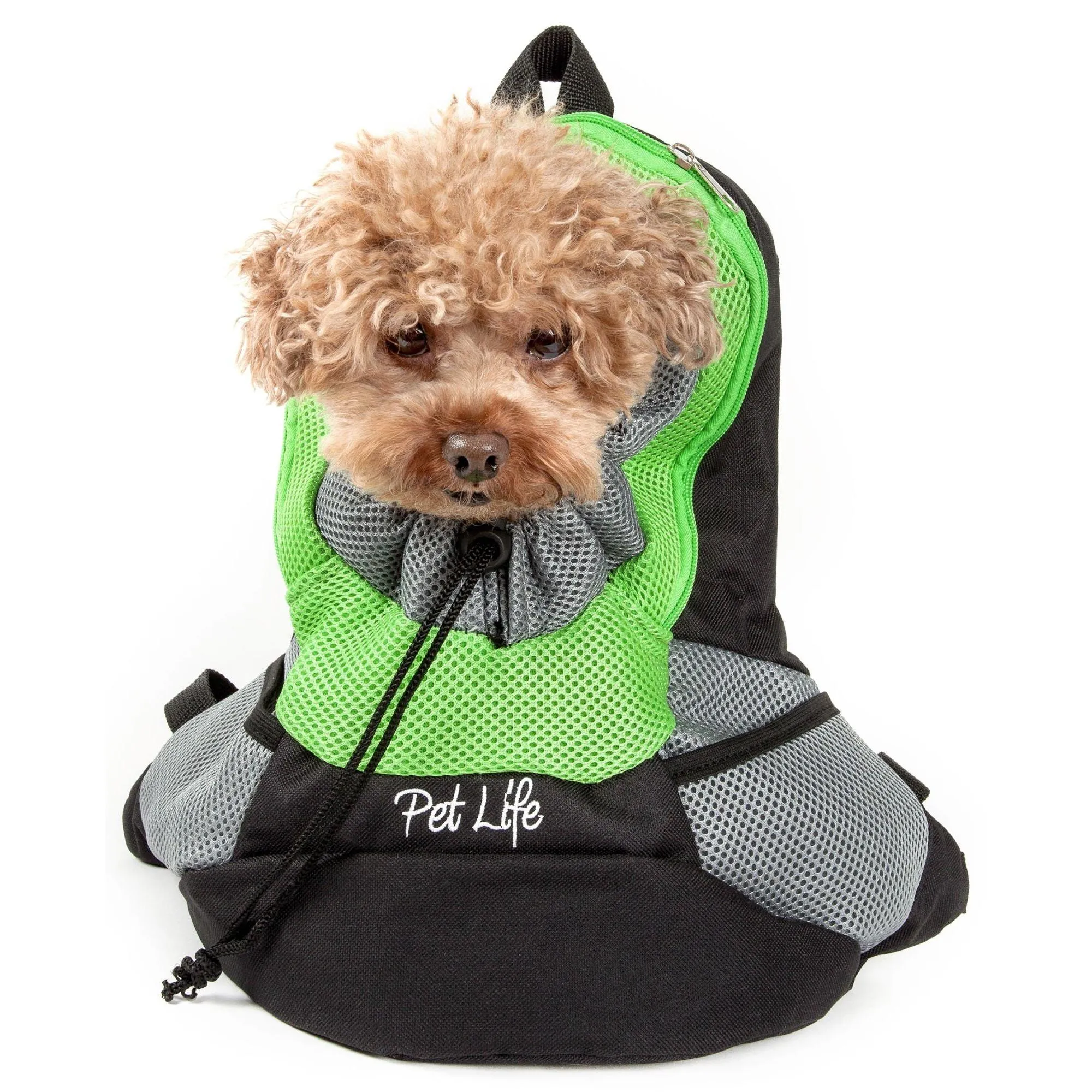 Comfortable pet carrier backpack Transport