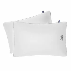 Sealy Sterling Collection Down-alternative Queen Pillow, 2-pack