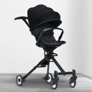 Spyder Stroller